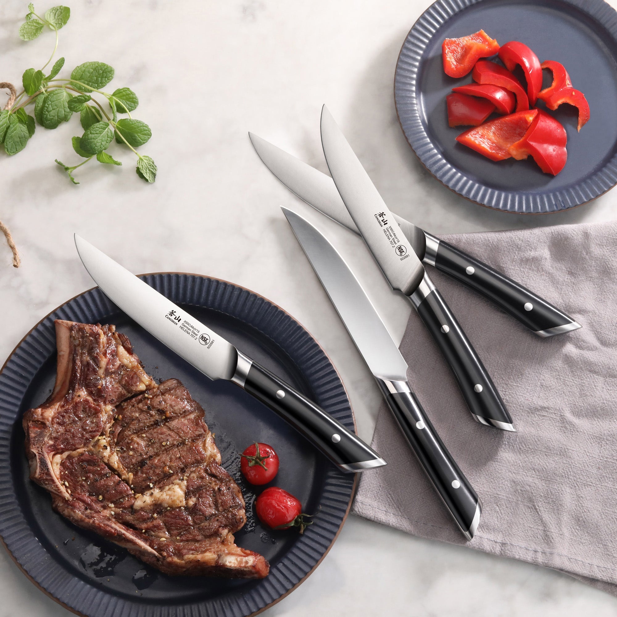 Cangshan 503350 HELENA Series 4-Piece Steak Knife Set - White