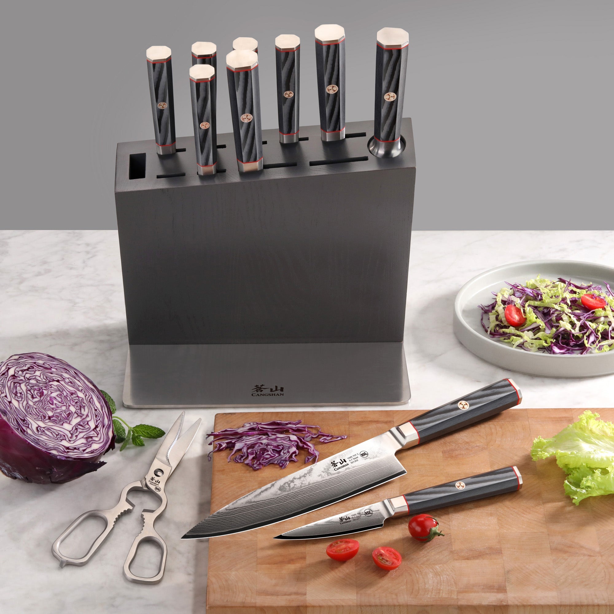 Cangshan 501370 YARI Series 12-Piece Knife Block Set