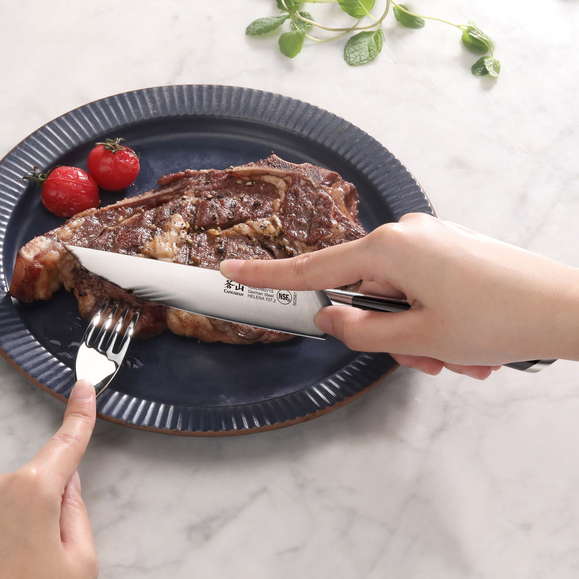 Cangshan 503350 HELENA Series 4-Piece Steak Knife Set - White