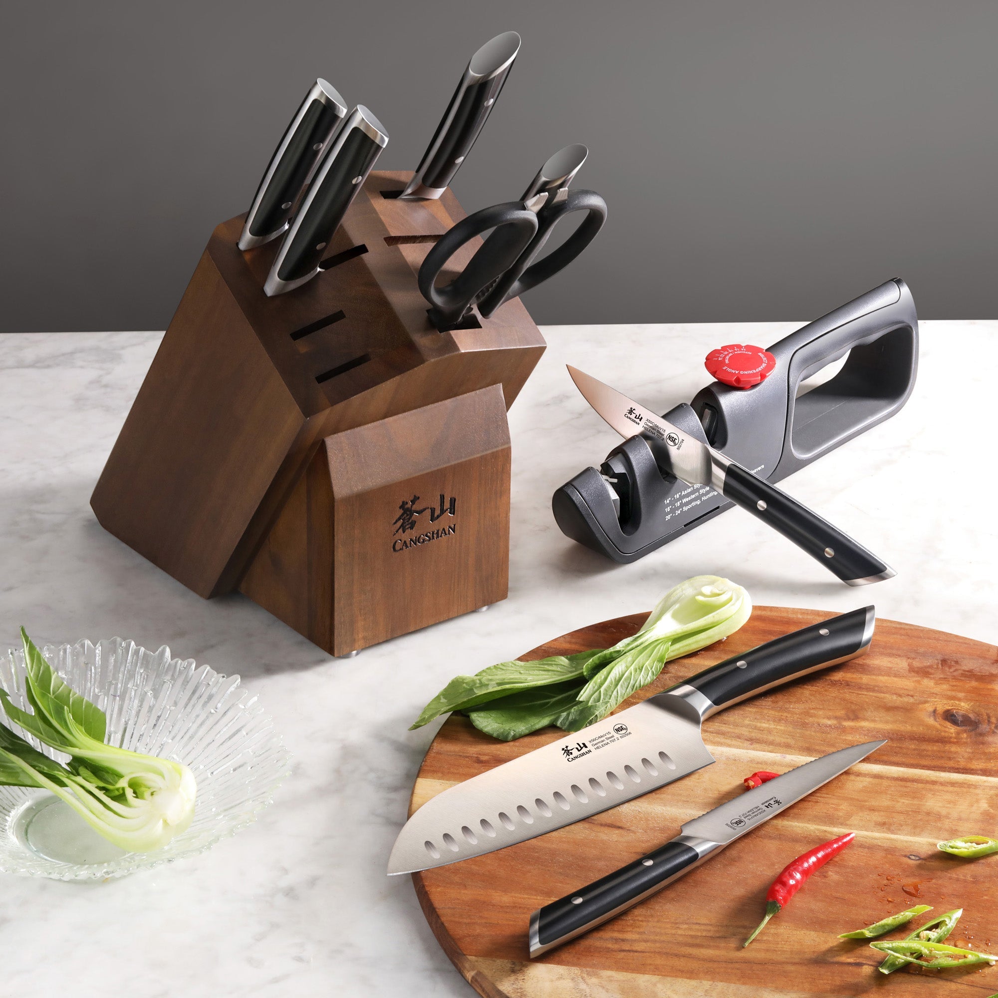 Cangshan 503299 HELENA 10-Piece Knife Block Set - Black / 10-Piece