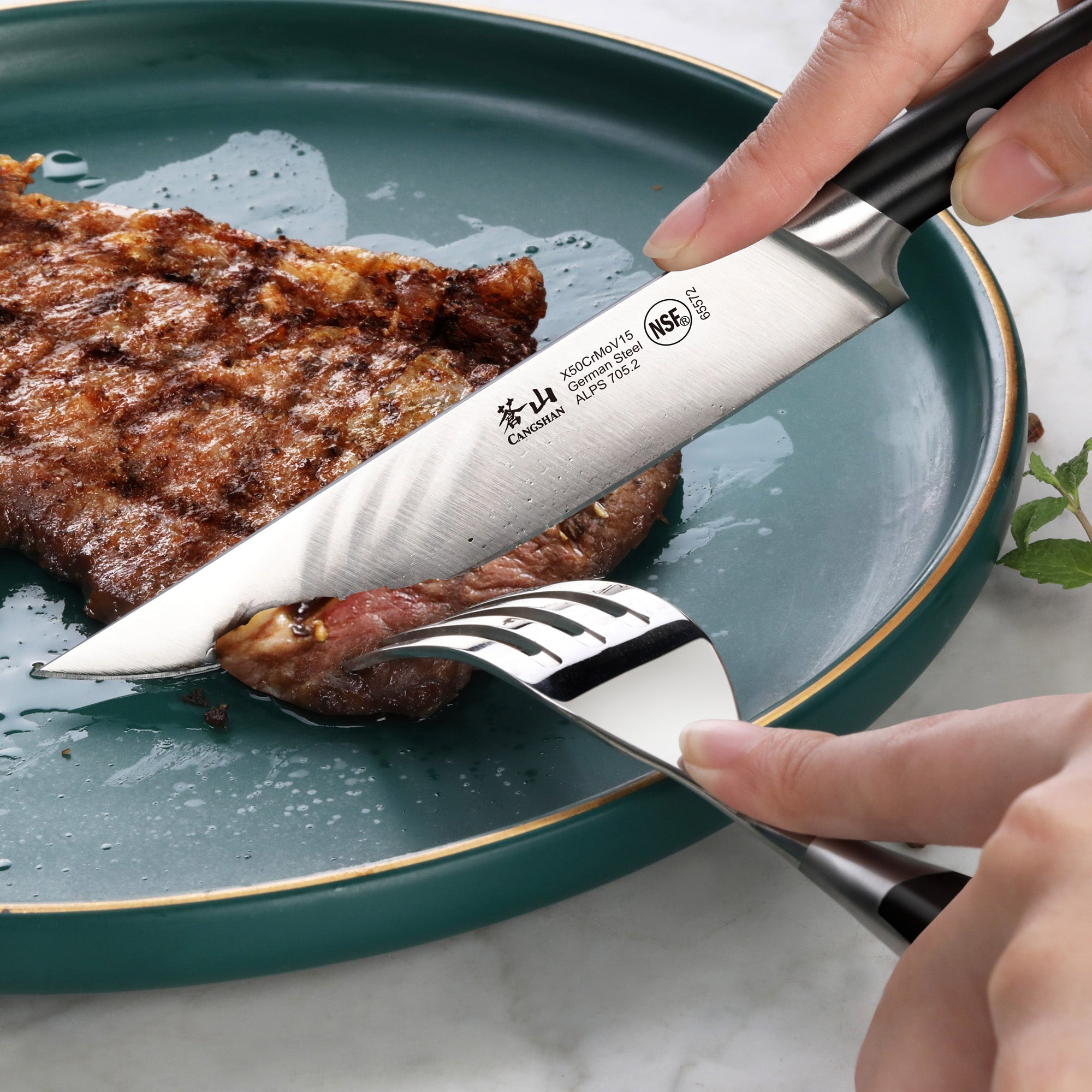 Cangshan 502780 ALPS Series 4-Piece Steak Knife Set