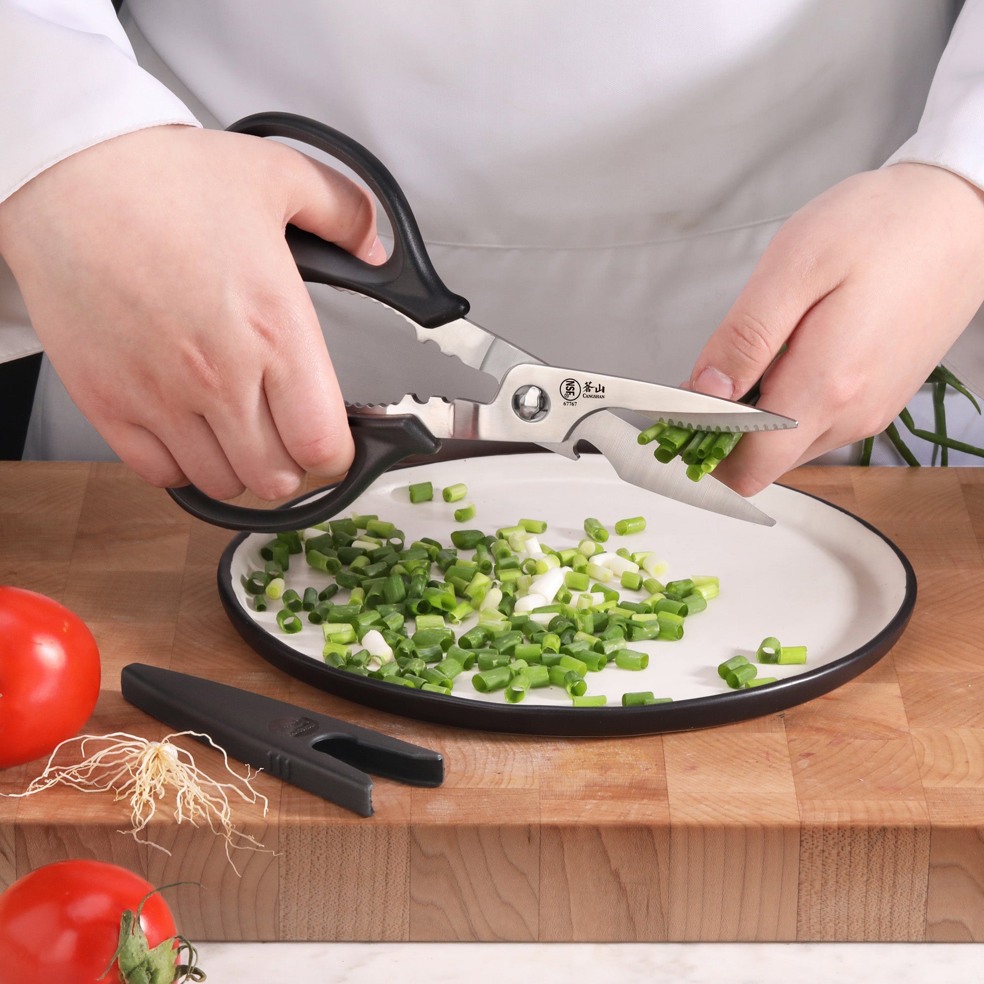 Cangshan 503343 9-Inch Heavy Duty Utility Kitchen Shears with Blade Holder - Black