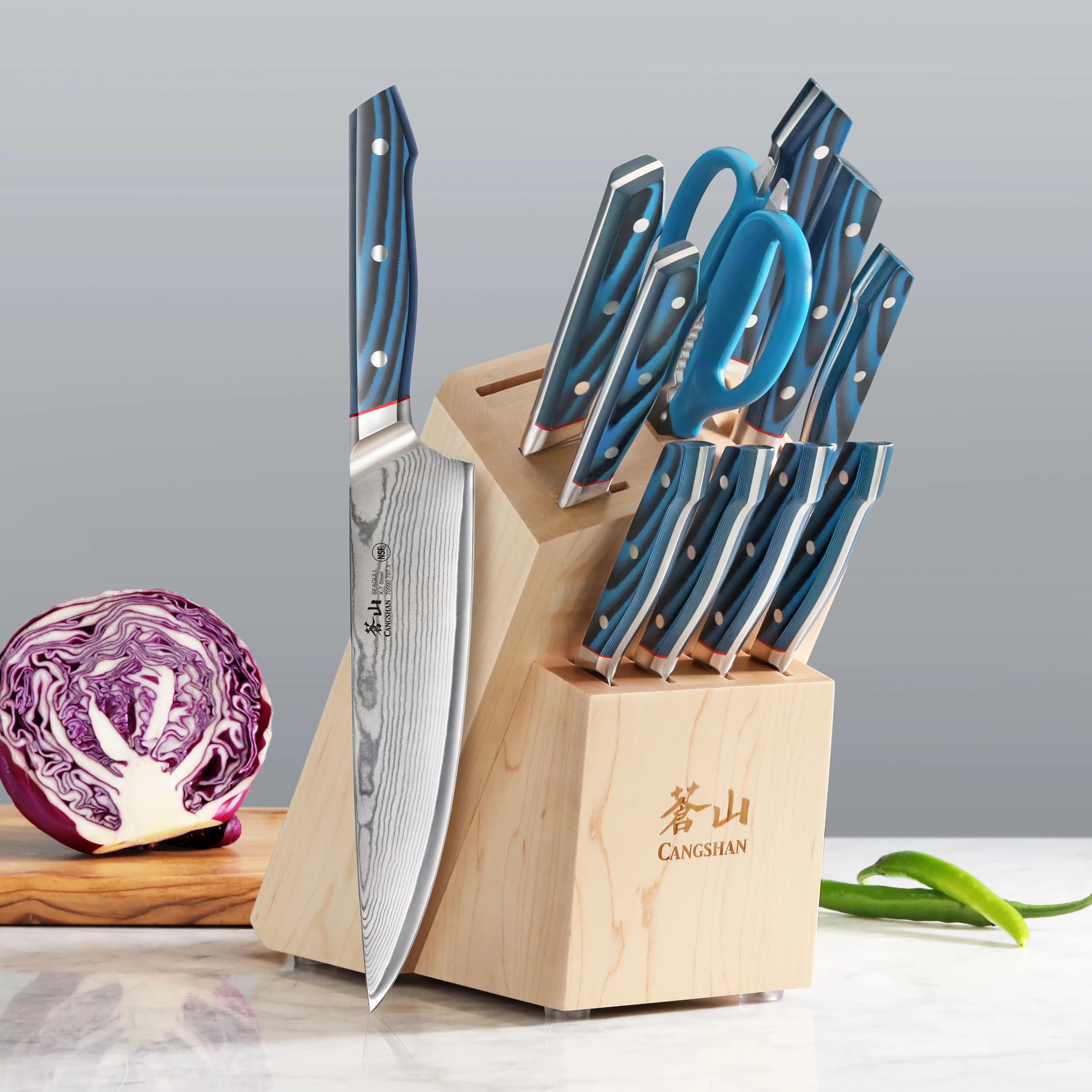 Cangshan 503916 SEAGULL Series 12-Piece Knife Block Set