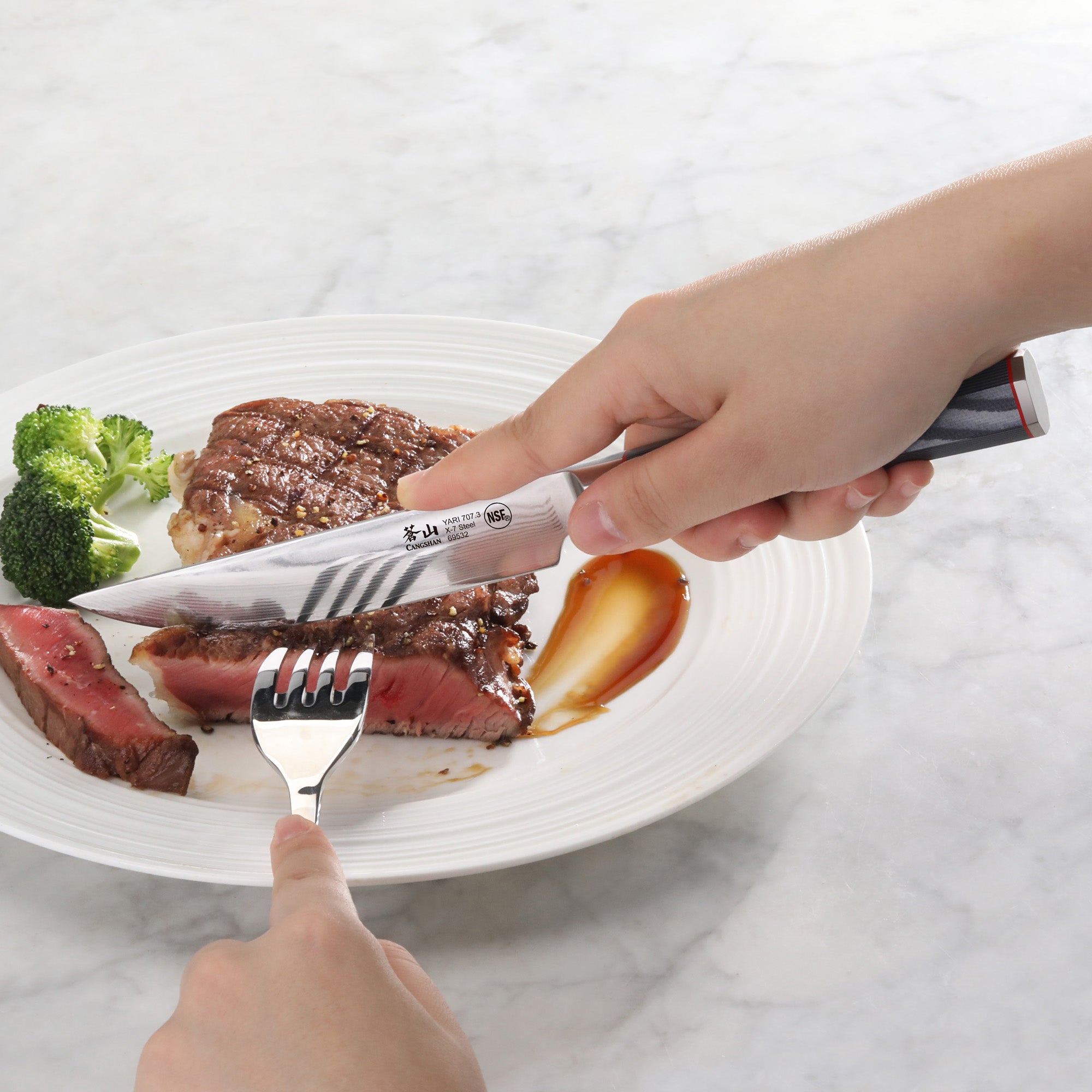 Cangshan 501325 YARI Series 4-Piece Fine Edge Steak Knife Set